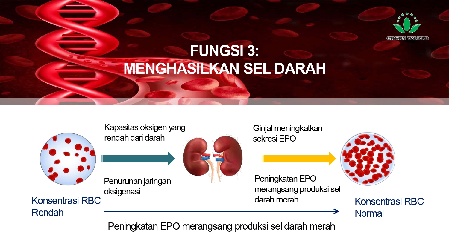 Education content image